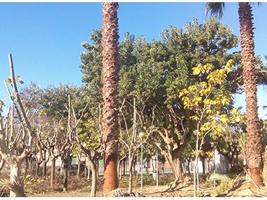 Treballs de jardineria i senyalització viària