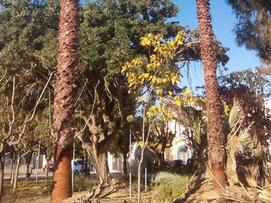 Treballs de jardineria i senyalització viària