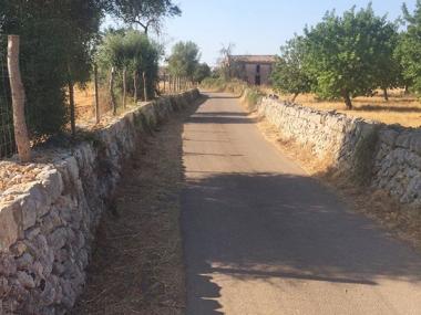 Campanya de desbrossament dels camins rurals i de poda dels arbres de les zones verdes