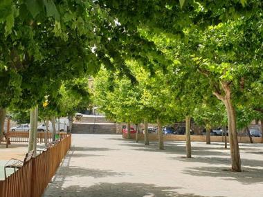 Campanya de desbrossament dels camins rurals i de poda dels arbres de les zones verdes