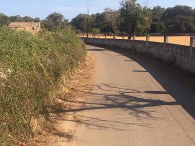 Campanya de desbrossament dels camins rurals i de poda dels arbres de les zones verdes