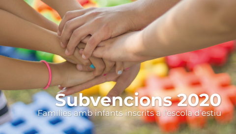 subvencions 2020