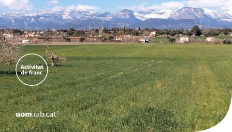 UOM a Mallorca 2025