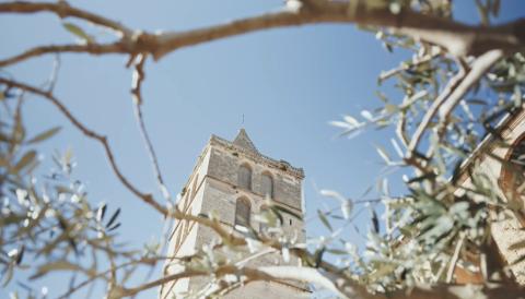 sineu