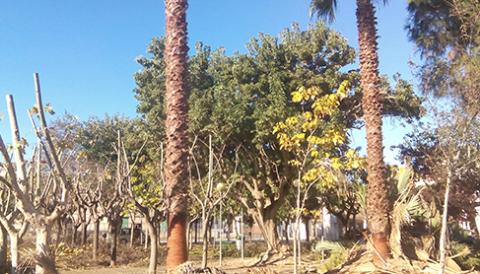 Treballs de jardineria i senyalització viària